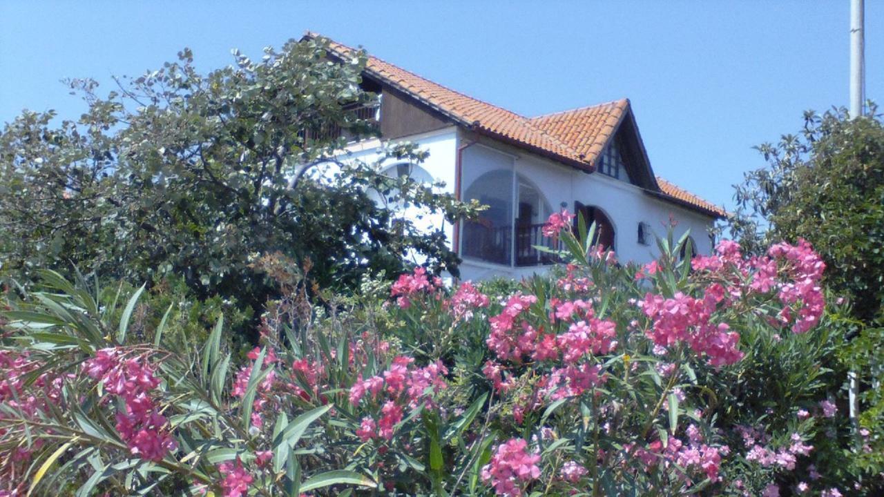 Villa Iris Nea Vrasna Bagian luar foto
